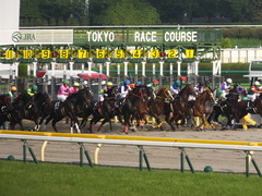 20140525 東京12R 丹沢S ユーロビート 15
