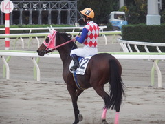 20181205 大井3R 3歳150 チアリーペッパー 17
