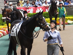 20160514 東京5R 3歳牝馬未勝利 ツボミ 12