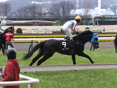 20160130 東京10R クロッカスS モーゼス 13