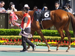20170429 東京9R 秩父特別(1000) レーヌドブリエ 12