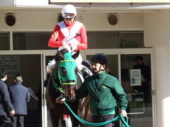 20171228 中山4R 2歳未勝利 アイコンタクト 06