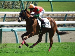 20180317 中山6R 3歳未勝利 リベラシオン 15
