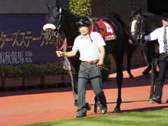20140921 新潟11R セントライト記念 ショウナンラグーン 02
