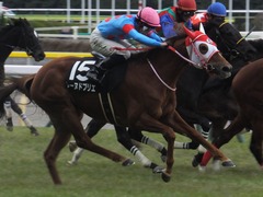 20170211 東京9R テレビ山梨杯(牝1000) レーヌドブリエ 27