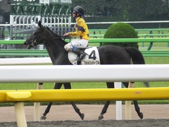 20170625 東京6R 3歳未勝利 ファインパープル 22