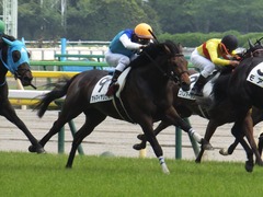 20170507 東京6R 3歳(500) アドマイヤシナイ 18