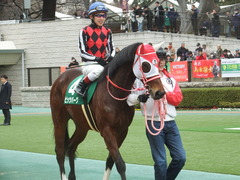 20190216 東京11R ダイヤモンドS(G3) ピッツバーグ 15