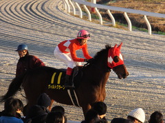 20161215 名古屋11R 名古屋GP(Jpn2) ヴィルトグラーフ 12