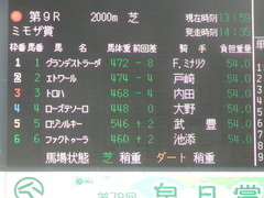 20190323 中山9R ミモザ賞 3歳牝馬(500) トロハ 01