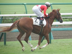 20180930 中山2R 2歳未勝利 クラサーヴィツァ 21