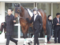 20171216 中山2R 2歳牝馬未勝利 ルフィーナ 07