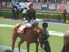 20190421 東京11R フローラS(G2) クラサーヴィツァ 15