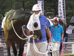 20160518 大井9R アイラブ大井賞 3歳 サンドプラチナ 02