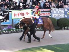 20131222 有馬記念 オルフェーブル 04