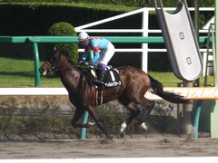 20150912 中山10R 鋸山特別 1000万下 ヴィルトグラーフ 14
