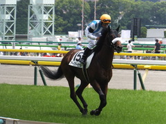 20160529 東京6R 3歳500万下 アークアーセナル 16