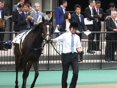 20160605 東京4R 3歳未勝利 ツボミ 14