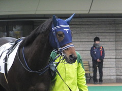 20160130 東京4R 3歳未勝利 アタンドリール 02