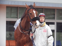 20190206 大井11R 金盃(S2) ユーロビート 05