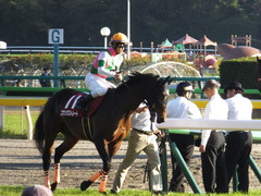 20161105 東京11R 京王杯2歳S(G2) コウソクストレート 23