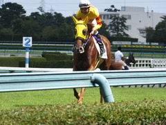 20150920 阪神7R 3歳上500万下 イサチルホープ 09