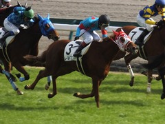 20141207 中京4R 2歳未勝利 レーヌドブリエ 20