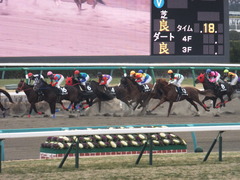 20140125 中山11R ユーロビート 15