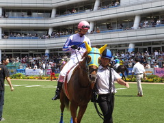 20160910 中山4R 3歳上障害未勝利 ワイルドジーク 08
