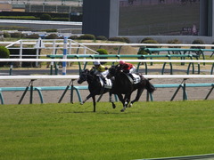 20150322 中山6R 3歳500万下 ファインライナー 14