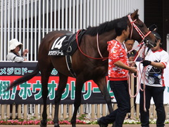 20170624 函館10R 湯川特別(500) ホウオウドリーム 18