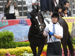 20160605 東京4R 3歳未勝利 ツボミ 07
