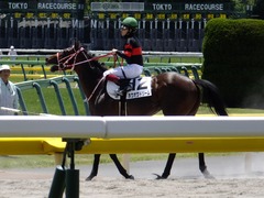 20170604 東京4R 3歳未勝利 ホウオウドリーム 30
