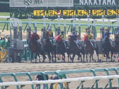 20180303 中山2R 3歳未勝利 ノーザンクリス 18