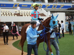 20180922 中山2R 2歳牝馬未勝利 ヴァルドワーズ 11