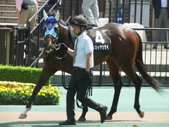 20180602 東京9R 国分寺特別 3歳上500万下 アドマイヤシナイ 12