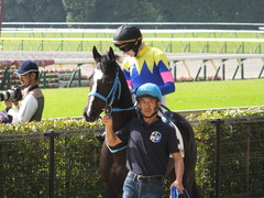 20141026 東京4R サウンドアラムシャ 11