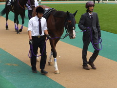 20131102 東京10R ユーロビート03