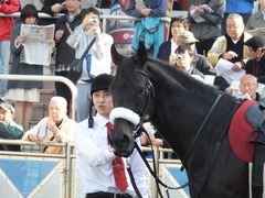 20140412 中山11R ニュージーランドT ショウナンアチーヴ 08