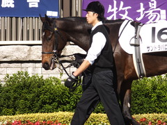 20131116 東京 サンドラバローズ05