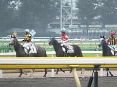 20141101 東京8R トレジャーマップ 10