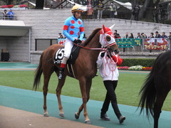 20151123 東京10R 鷹巣山特別 レーヌドブリエ 21