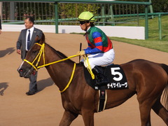 20151004 中山9R サフラン賞 2歳500万下 テイケイレーヴ 14