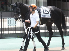 20170610 東京6R 3歳未勝利 バトルオスカー 08