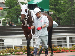 20180523 大井3R 3歳(195万下) イナムラ 08