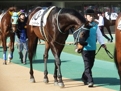 20180217 東京3R 3歳未勝利 ハッピーテーラー 02