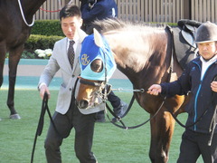 20170128 東京10R クロッカスS 3歳OP アドマイヤシナイ 15