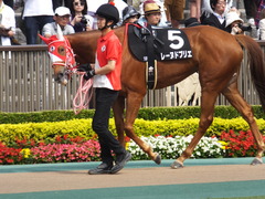 20170527 東京10R 葉山特別(1000) レーヌドブリエ 13
