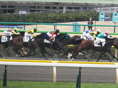 20160130 東京3R 3歳未勝利 アイルーロス 15