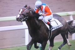 20160717 函館5R 2歳メイクデビュー トリオンフ 08